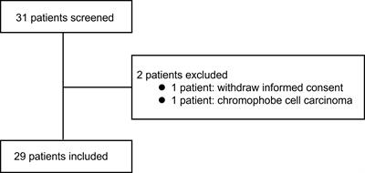 High Complete Response Rate in Patients With Metastatic Renal Cell Carcinoma Receiving Autologous Cytokine-Induced Killer Cell Therapy Plus Anti-Programmed Death-1 Agent: A Single-Center Study